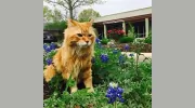 Windsor Park Veterinary Clinic