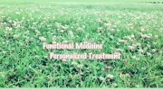 EK Holistic Acupuncture & Herbal Medicine