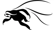 Andrea Cyr Acupuncture