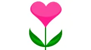 John's Flowers