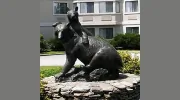 Black Bear Inn