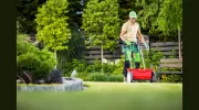 Green for Green