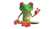 Peace Frog Carpet Cleaning