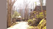 The Cabins in the Woods