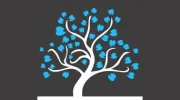 Willow Glen Family Dentistry