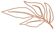 Hearth Acupuncture & Herbal Medicine
