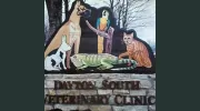 Dayton South Veterinary Clinic