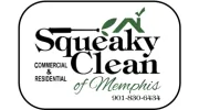 Squeaky Clean of Memphis