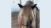 HOPE Equestrian Center