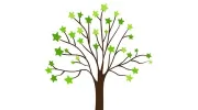 Star City Montessori