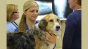 Oakley Square Animal Hospital