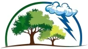 Reliable Tree Service Ocala