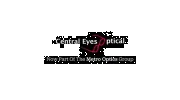 Central Eyes Optical