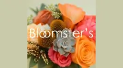 Bloomsters
