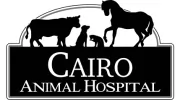 Cairo Animal Hospital