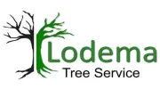 Lodema Tree Service