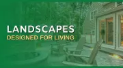 JM Mento Landscape Design