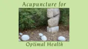 Acupuncture for Optimal Health