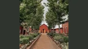 Crooked Willow Farms
