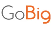 GoBig Branding