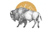 Noble Bison Productions