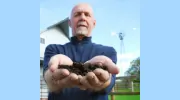 The Dirt Dealer