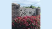 Enchanted Pines