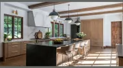 Conceptual Kitchens