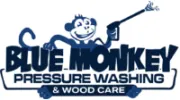 Blue Monkey