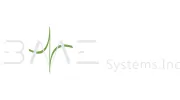BME Systems
