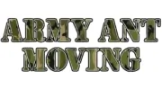 Army Ant Moving