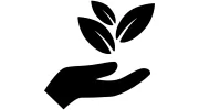 THRIVE Counseling & Consultation