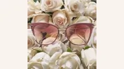 Focus 313 Eyecare