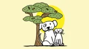 Woodland Animal Clinic