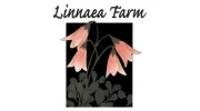Linnaea Design
