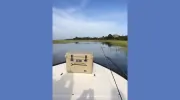 Captain Alex Inshore Charters