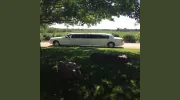 Stagecoach Limousine