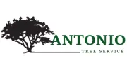 Antonio Tree Service