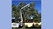 Oasis Tree Service