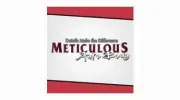 Meticulous Auto Body