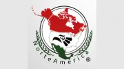 BestMex Agency
