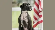 Freedom Insurance Group