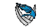 Falcon 1 Karate