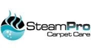 Steam Pro & Carpet Care