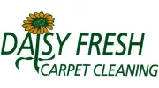 Daisy Fresh Carpet Cleaning