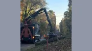 MBI Tree Service