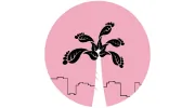 Family First Podiatry