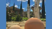 Chardonnay Lodge