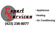 Expert Services