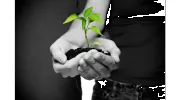 Evergreen Christian Counseling